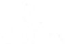 aorex-logo-white